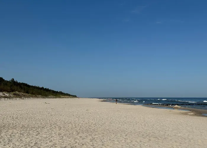 Apartament Shellter Rogowo